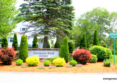 Dorchester Brook Estates